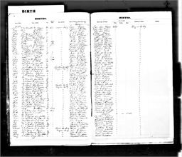 DeWeese, Mary R 1858 Grayson KY BC.jpg