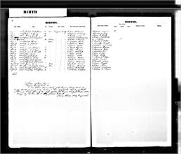 DeWeese, Rachael V 1852 Grayson KY BC.jpg