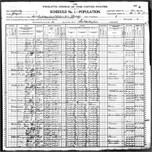 Dennison, Charles E 1900 Grayson KY.jpg