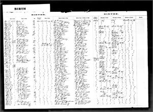 Whobrey, Norman A, Birth of Child 1878 Butler KY, Line 2.jpg