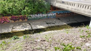 20250423_151558.jpg