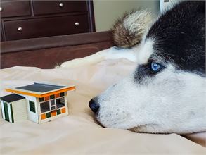 20220817_090149.jpg