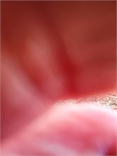 20240104_154725.jpg