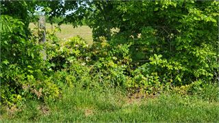 20250518_105214.jpg