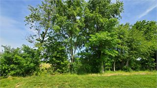 20250518_105234.jpg