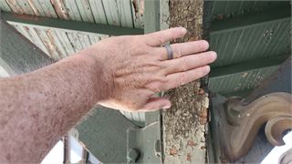 20250712_105044.jpg